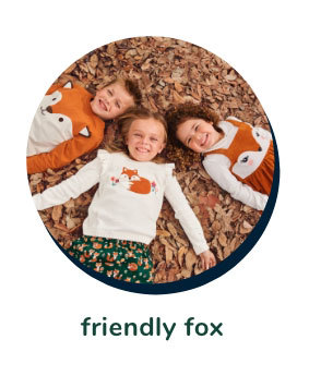Friendly Fox