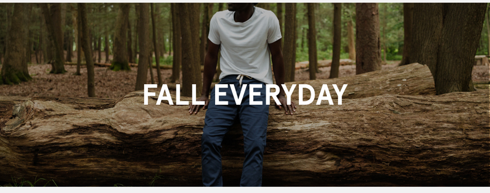 FALL EVERYDAY