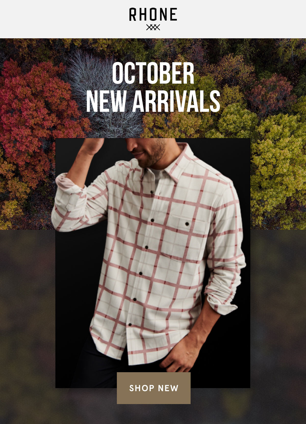 October New Arrivals