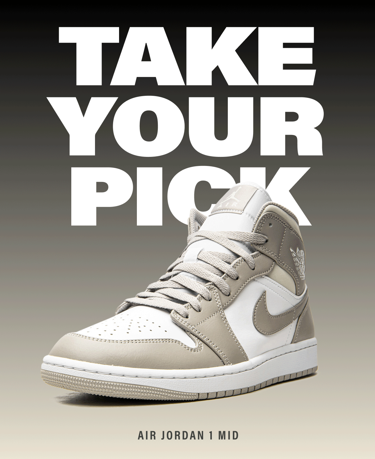 An Air Jordan 1 for Every Occasion Stadium Goods