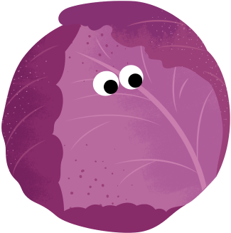 Cabbage