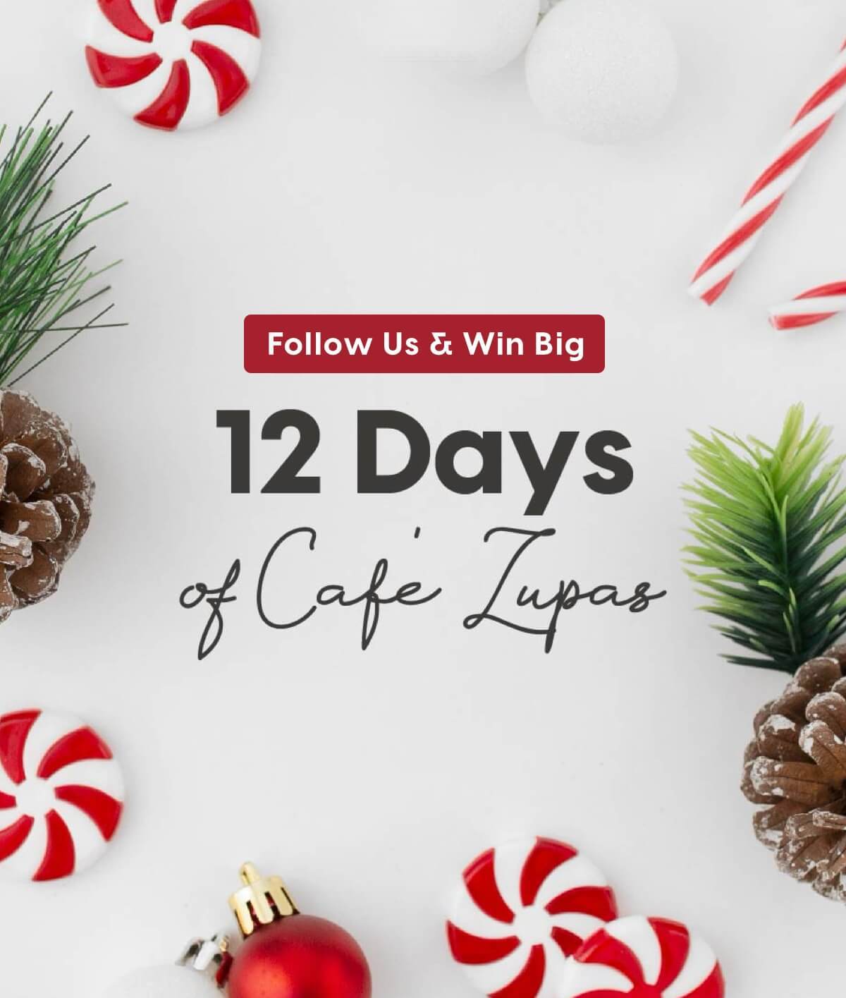 🎁 It's Day 2 of the 12 Days of Café Zupas Cafe Zupas