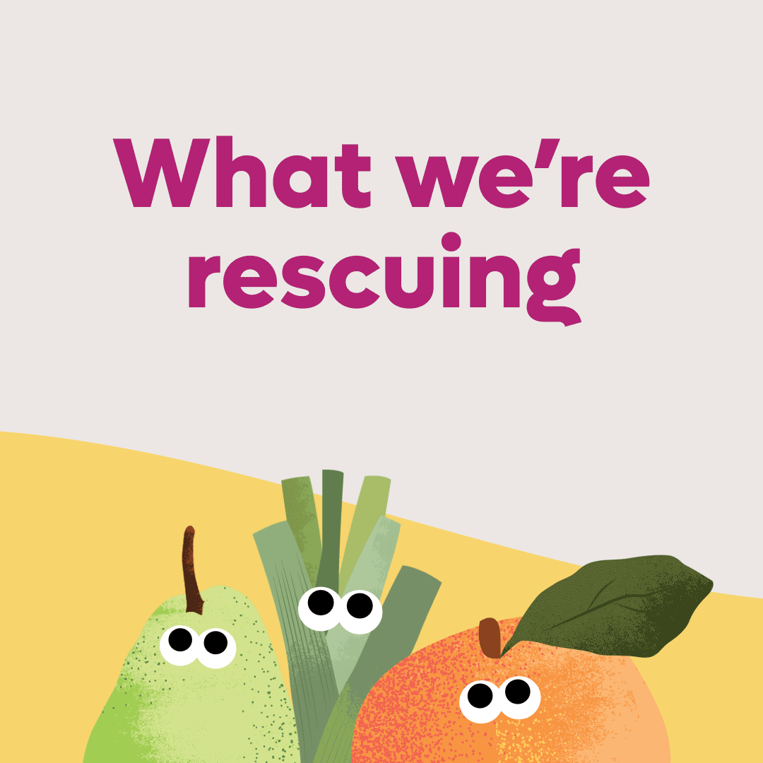 What We're Rescuing