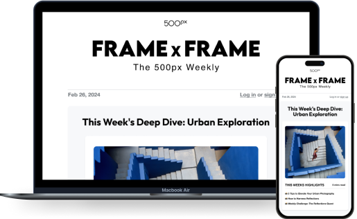 FramexFrame Newsletter