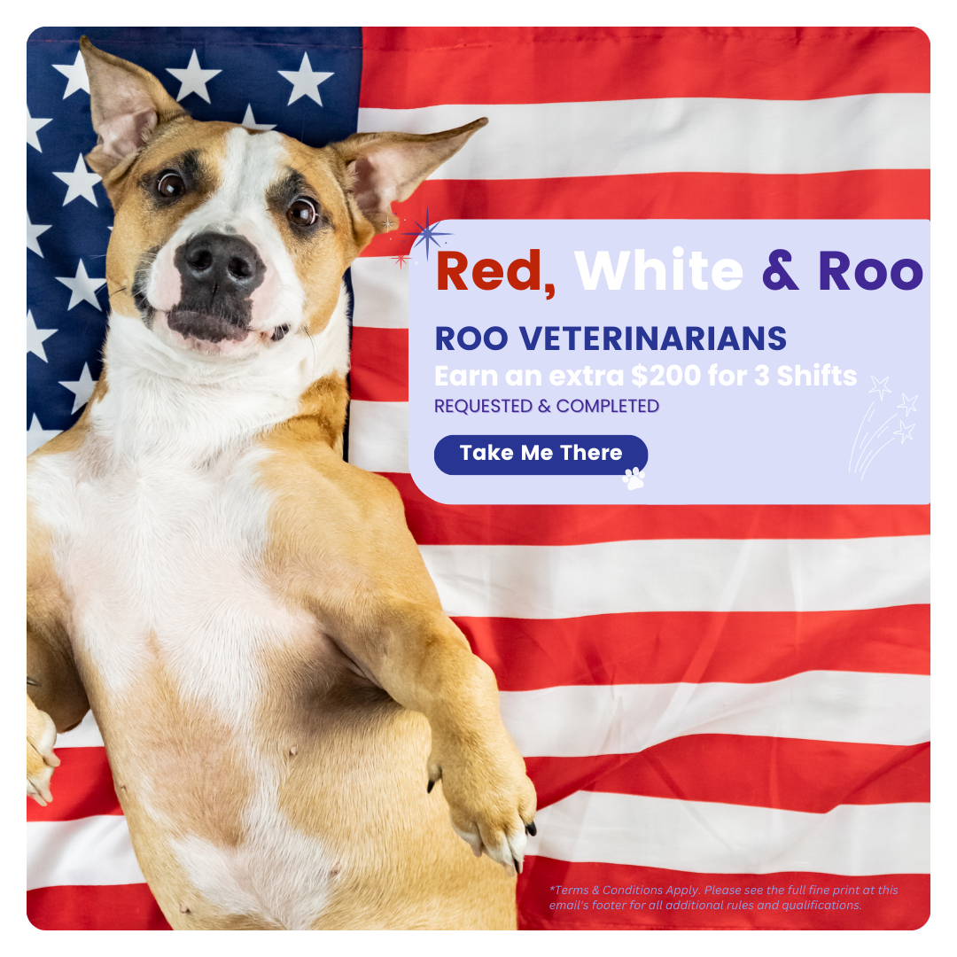 Roo Veterinary, Inc 