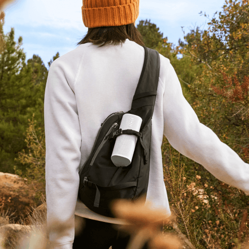 Roam 2