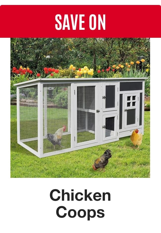 Save on Chicken Coops
