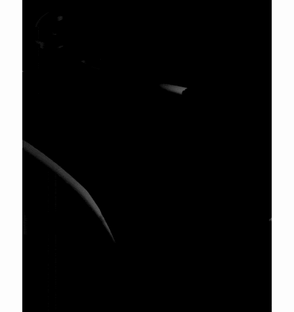 Black Lacquer