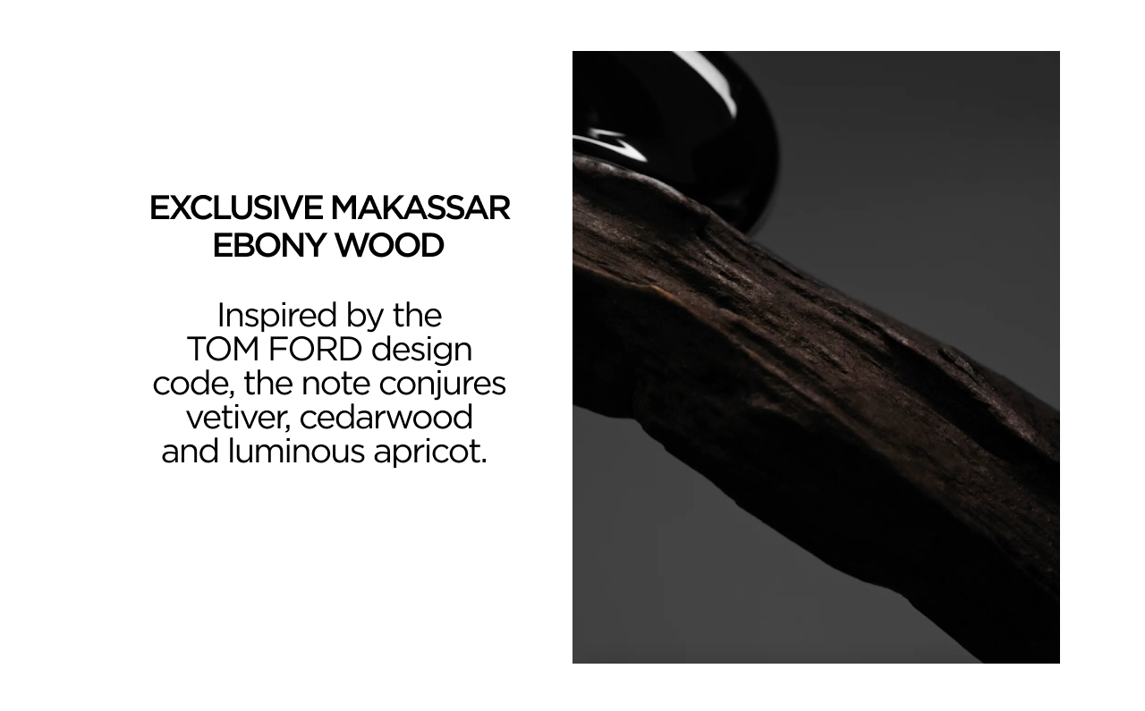 Exclusive Black Lacquer Accord
