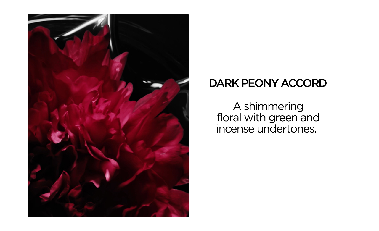 Dark Peony Accord