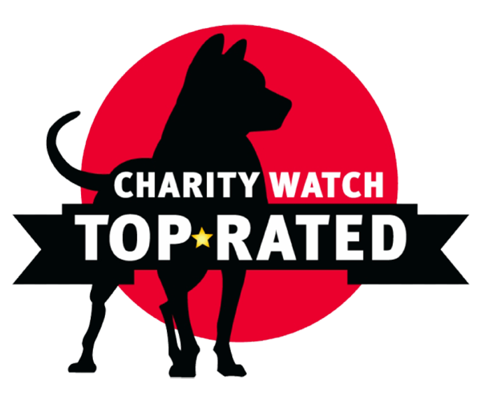 Charity Watch