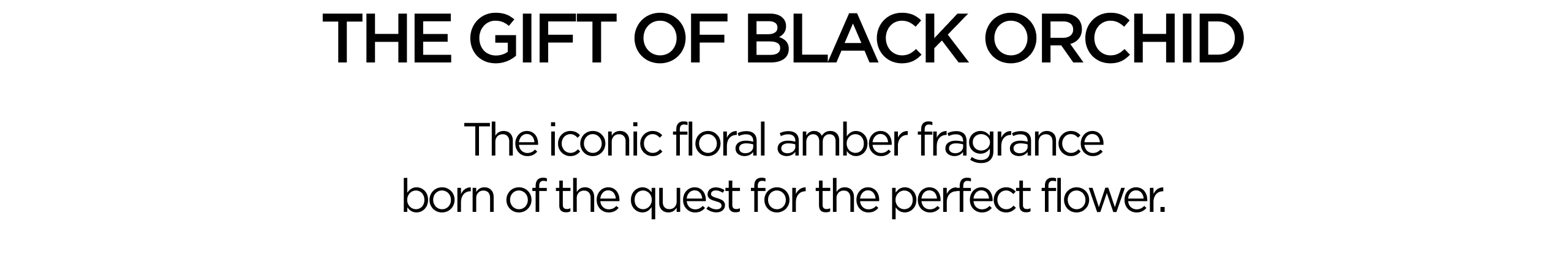 THE GIFT OF BLACK ORCHID