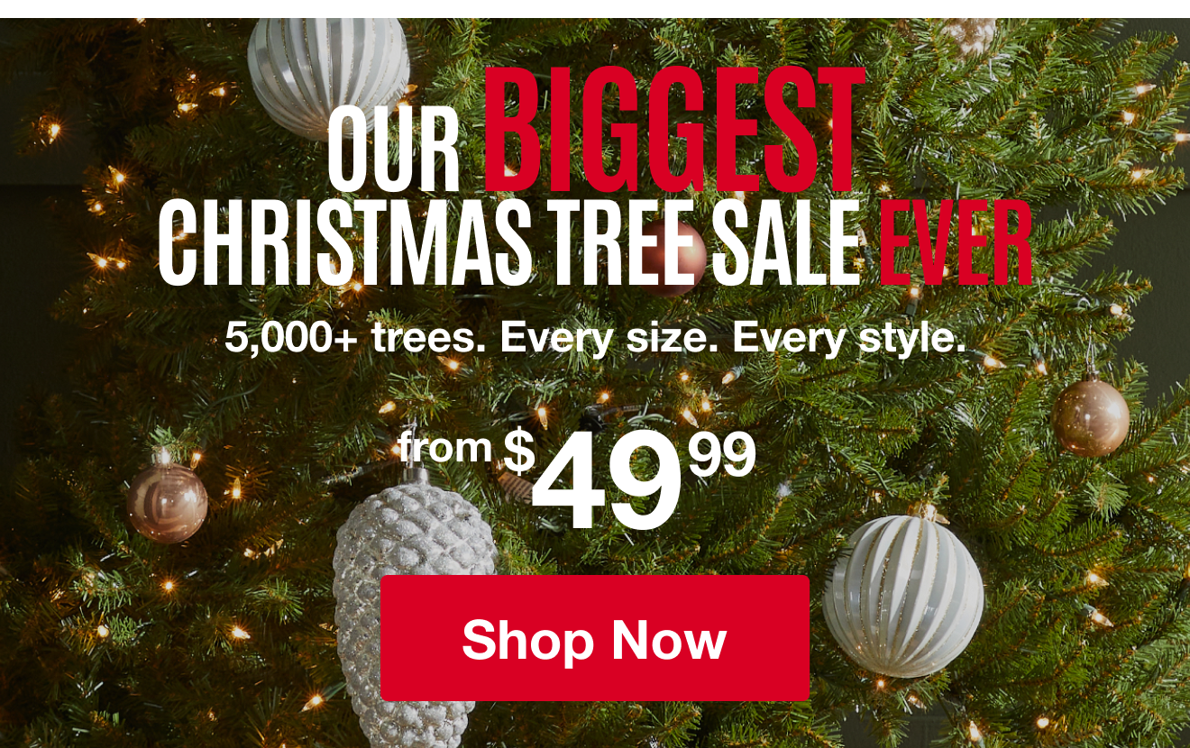 Our Biggest Christmas Tree Sale Ever