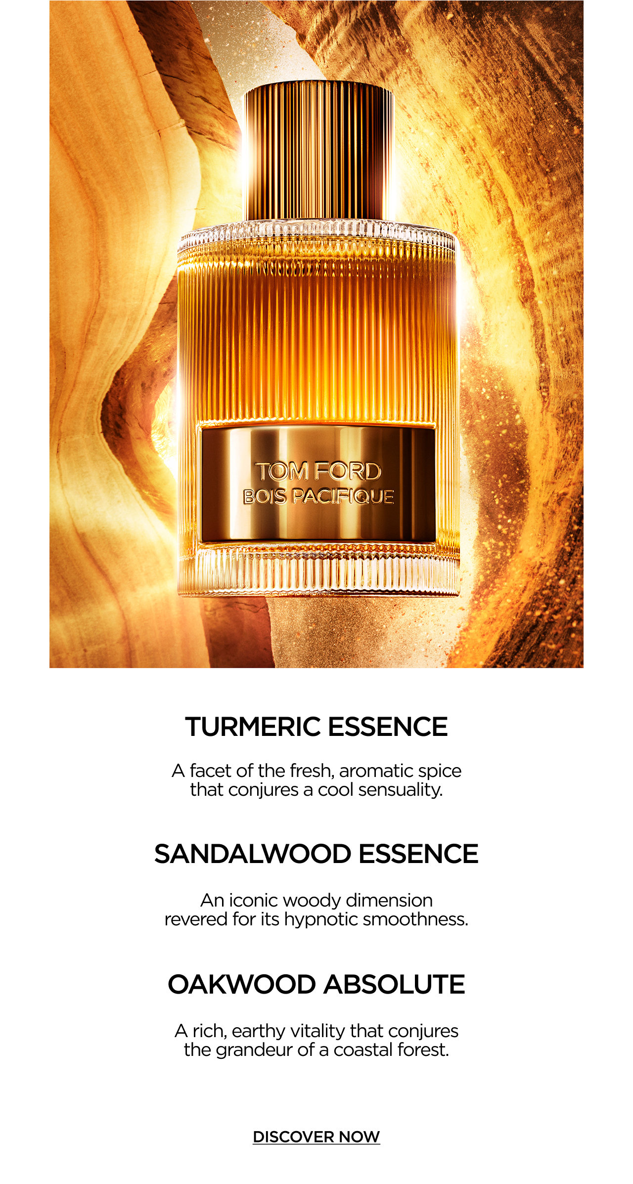 DISCOVER NOW