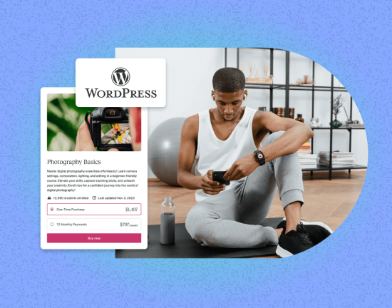 WordPress Plugin Launch