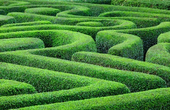 An estimated +50% of health outcomes are driven by social determinants of health*