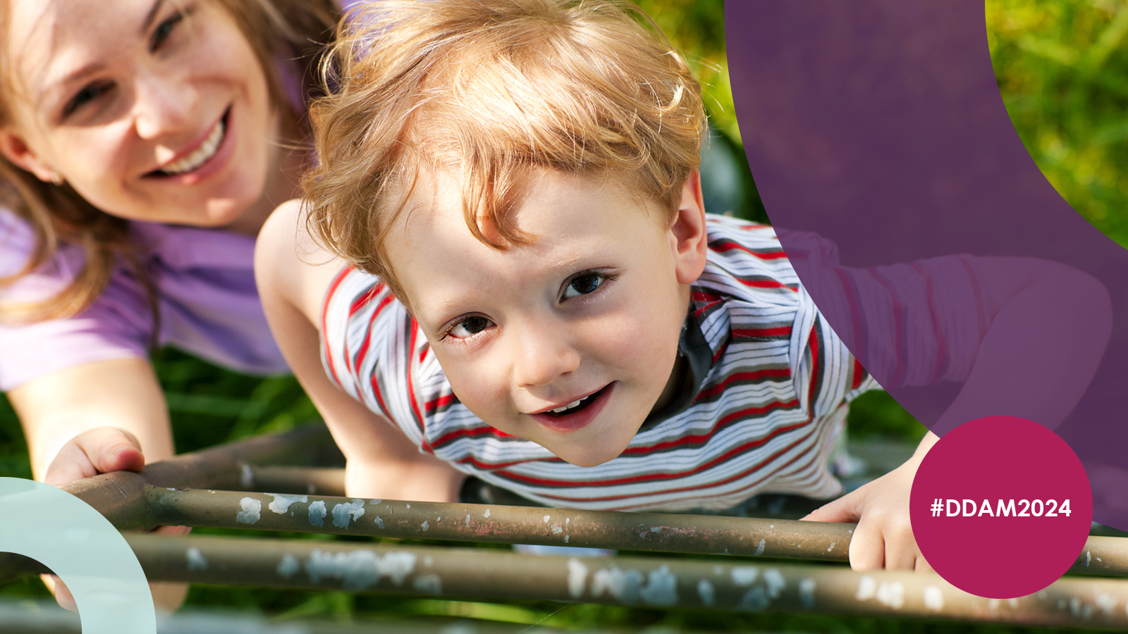 Past and Future of Developmental Disability Laws