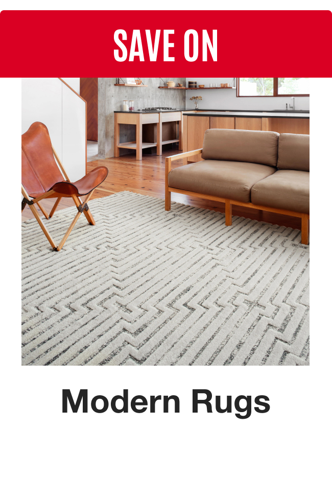 Save on Modern Rugs