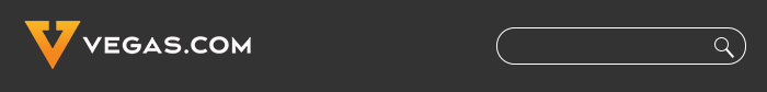 Header Search Bar
