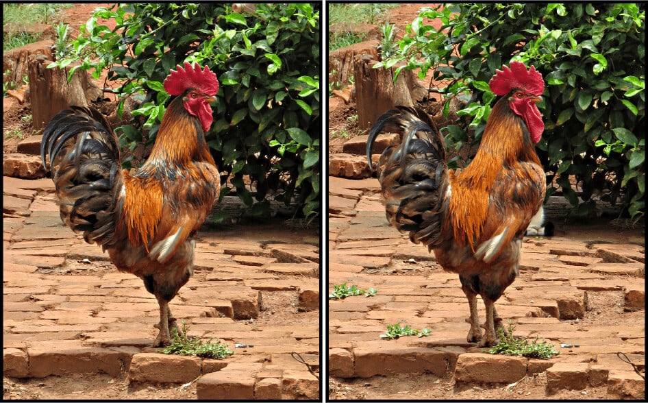 Play Spot the Difference