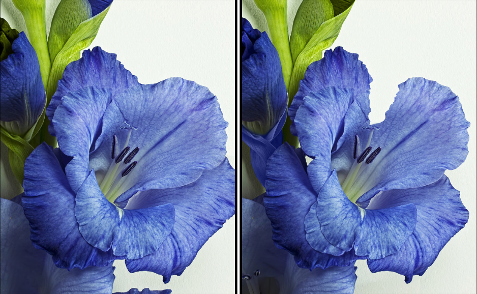 Play Spot the Difference