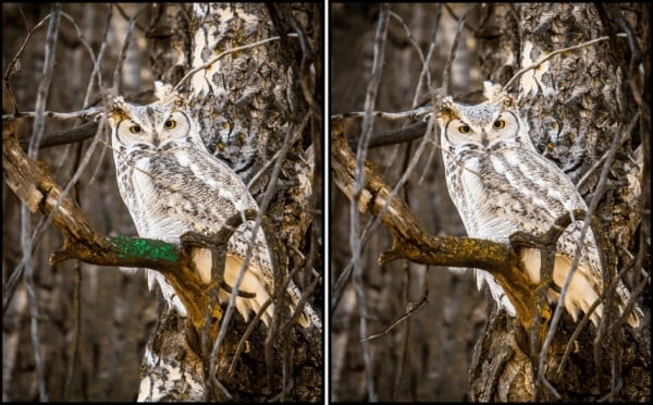 Play Spot the Difference