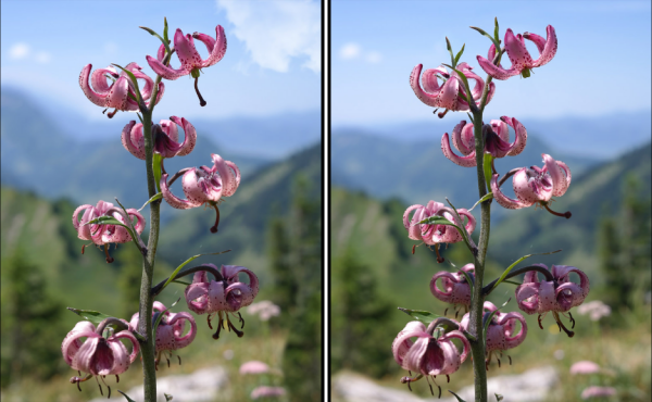 Play Spot the Difference