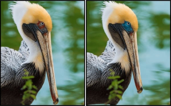 Play Spot the Difference