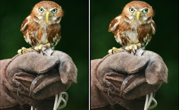 Play Spot the Difference