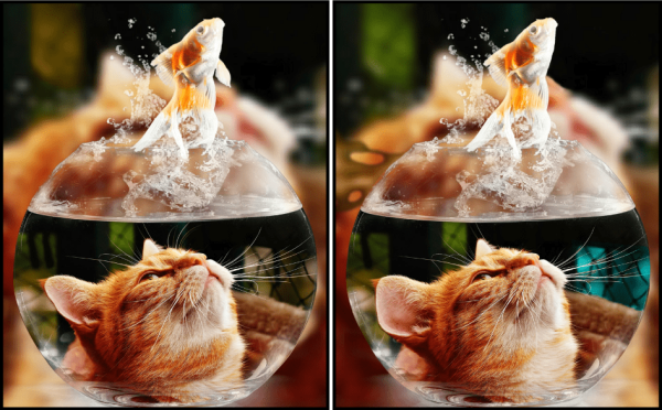 Play Spot the Difference