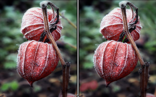 Play Spot the Difference