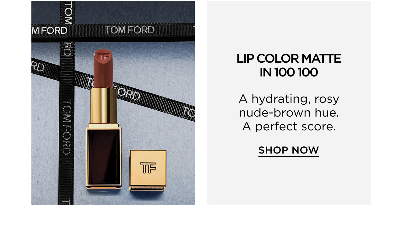 LIP COLOR MATTE IN 100 100