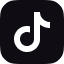 Tiktok Icon Footer
