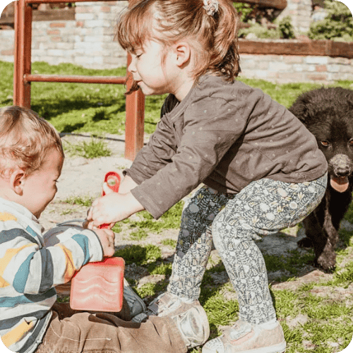 The Only 2 Things to Say After Your Toddler Hits