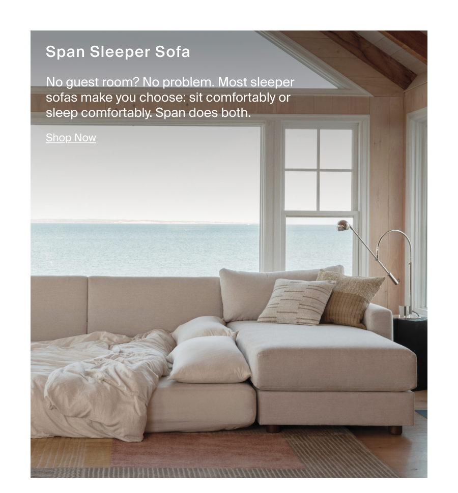 Span Sleeper Sofa