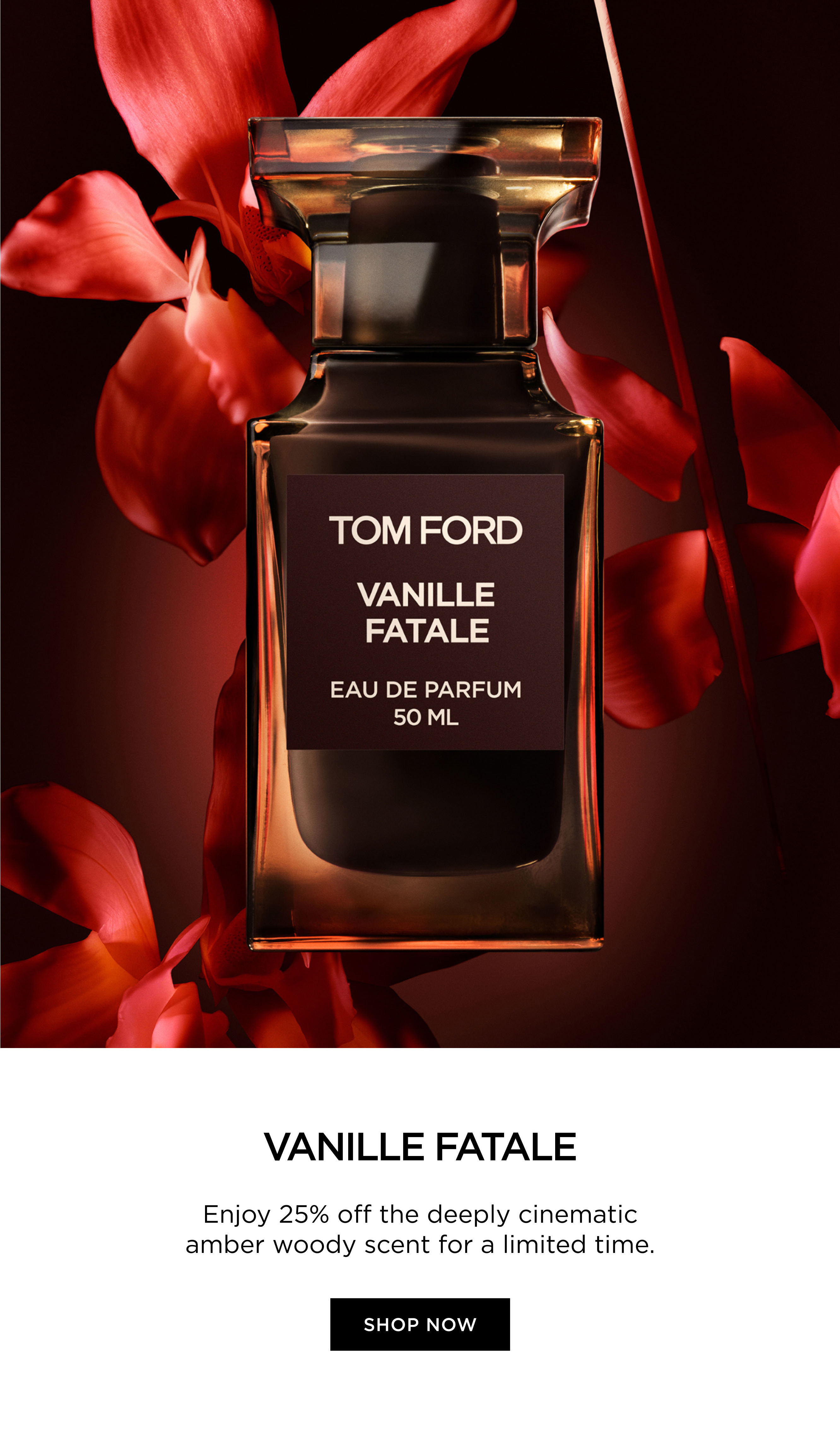 VANILLA SEX