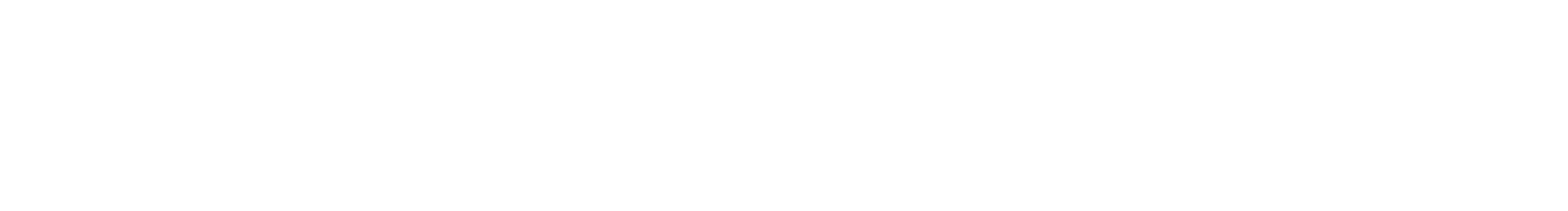 Sky Zone logo