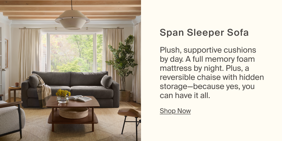 Span Sleeper Sofa