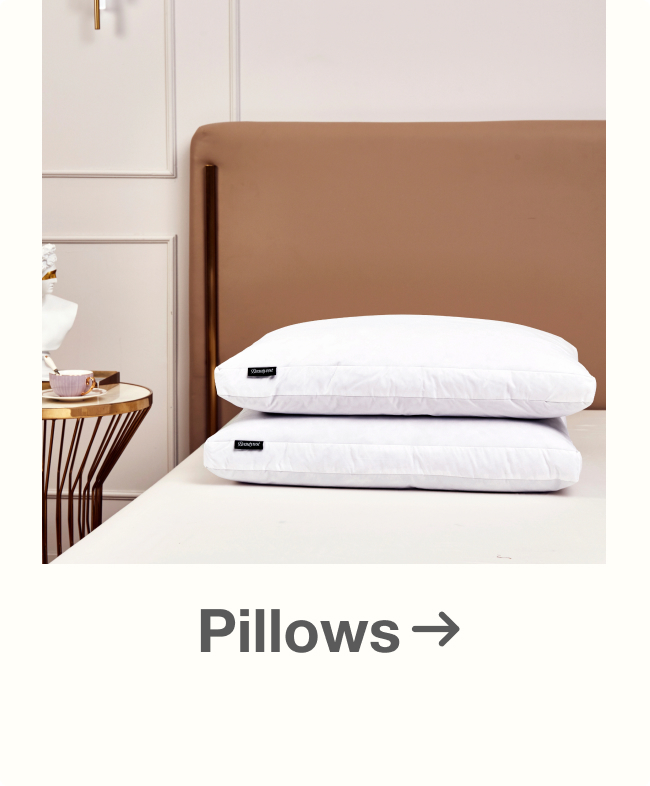 Shop Pillows