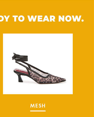 Mesh