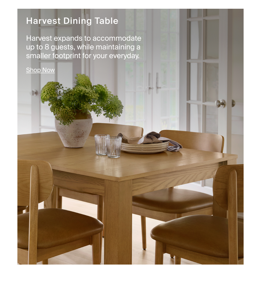 Harvest Extendable Dining Table (59' to 79')
