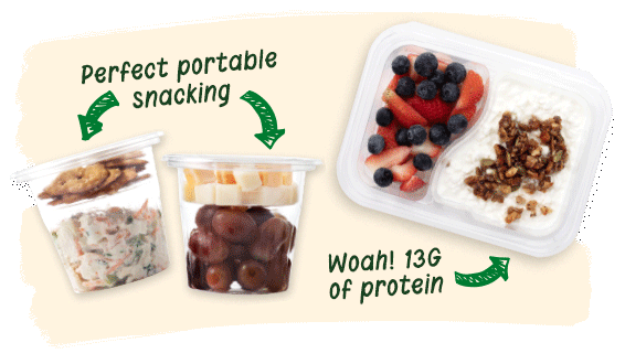 plant-based protein boost, pb&j dippers, snack boxes