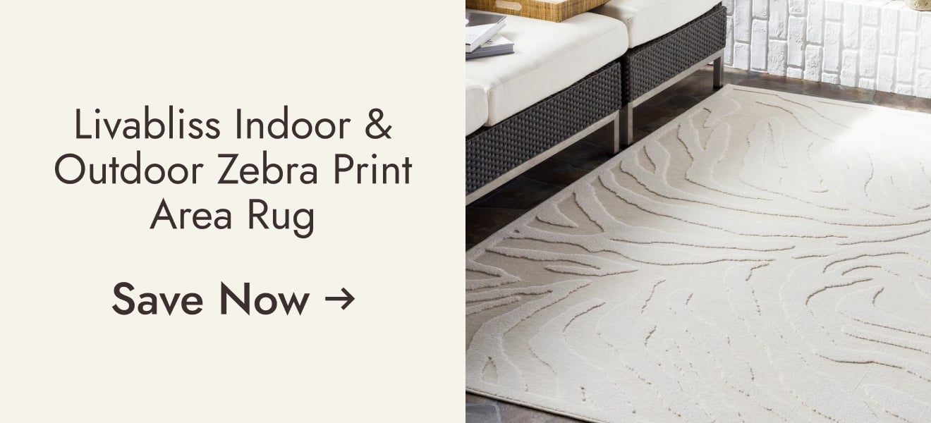 Livabliss Aibee Indoor/ Outdoor Zebra Stripe Area Rug