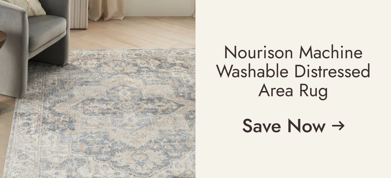 Nourison Astra Machine Washable Distressed Area Rug