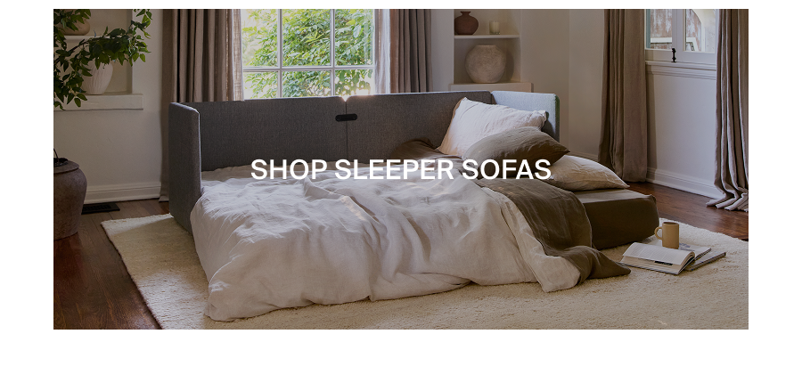 Shop Sleeper Sofas