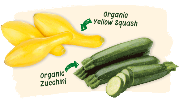 Organic zucchini, yellow squash, yellow peaches, yellow nectarines