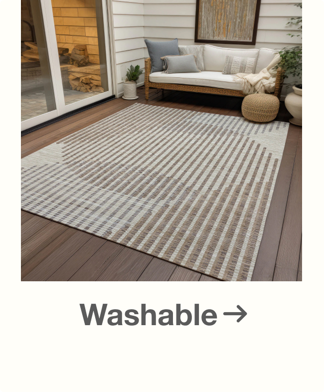 Shop Washable Rugs