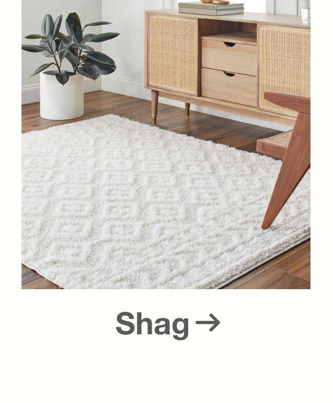 Shop Shag Rugs
