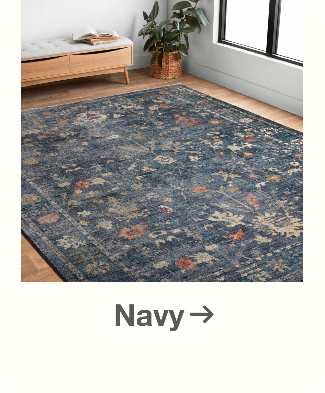 Shop Navy Rugs