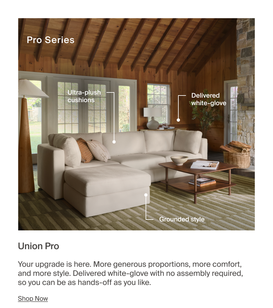Union Pro